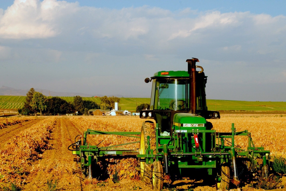 Белорусские аграрии сократили объем сельхозпроизводства