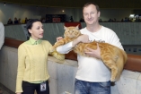 В Украинском доме прошла международная выставка кошек