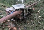 Дерево пронзило тракториста в Закарпатье
