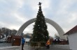 Главная елка Киева почти готова