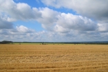 Присяжнюк: Украина перевыполнила планы по объемам экспорта зерна
