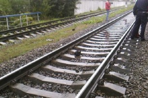 В Киеве поезд перерезал человека