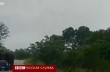 Африканский слон растоптал машину с туристами