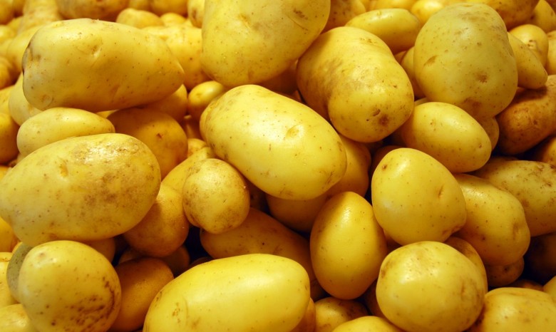 Картофель — новое направление роста
