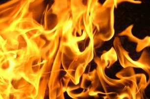 В Житомире пожар унес жизни двух человек