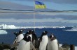 Украинские исследователи сегодня отправляются в Антарктиду