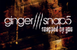 Ginger Snap5 выпустит "безмолвный" альбом 8 апреля