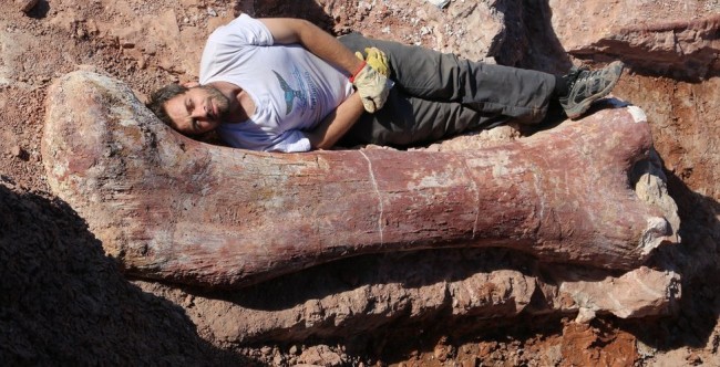 В Аргентине выкопали самого большого динозавра в истории