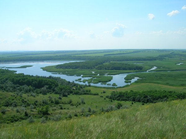 Через неделю Донецкая область может остаться без воды