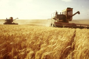 Без налоговых льгот аграриям выращивать зерно будет невыгодно - эксперт
