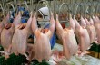 100 тонн американских цыплят не впустили в Россию