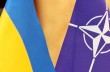 Шансы Украины на вступление в НАТО равны нулю - Погребинский