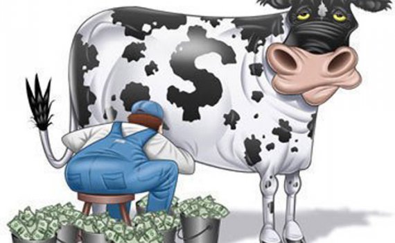 Из банков хотят сделать «дойных коров» - НАБУ