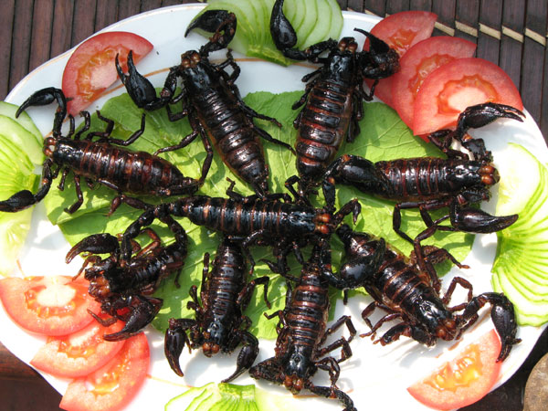 В бельгийских супермаркетах будут продавать еду из червячков и гусениц