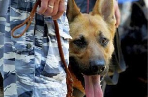 В киевском метро появятся собачьи патрули