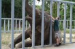 В Киевском зоопарке новый директор