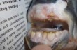 В России завелась рыба с человеческими зубами