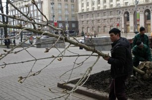 Киев снова связался со скандальными поставщиками каштанов Бриотти