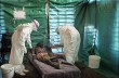 В Африке создали «Фонд Эболы»