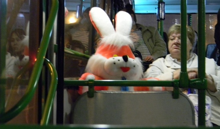 В столичном транспорте больше половины пассажиров ездят «зайцем»