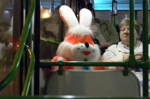 В столичном транспорте больше половины пассажиров ездят «зайцем»
