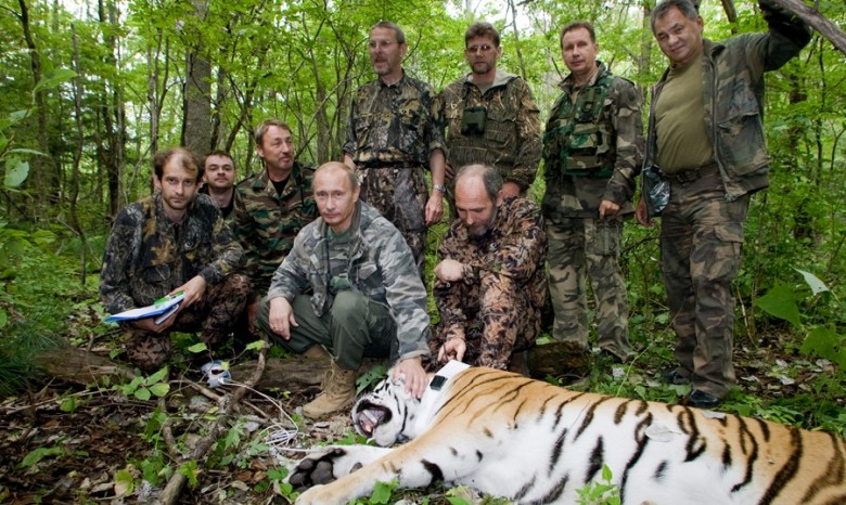 Тигра Путина обвинили в убийстве китайских козлов