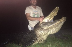 Во Флориде поймали крокодила весом 326 килограммов