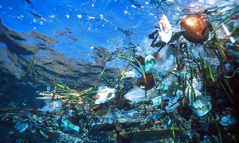 Ученый высчитал вес пластикового мусора в Мировом океане