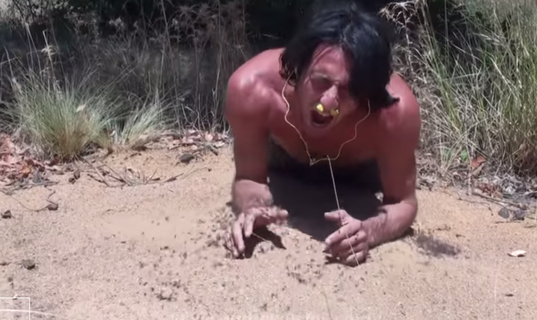 Австралиец попытался скормить себя муравьям (видео)