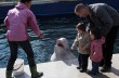 В зоопарке Москвы трехлетнего ребенка придавило гранитной плитой