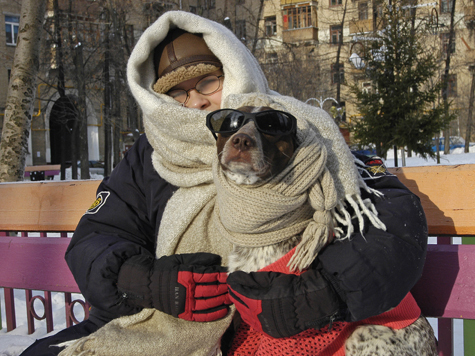 От холода люди умирают чаще, чем от жары - исследование