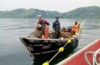 Сахалинские рыбаки целый день катали наглого морского котика