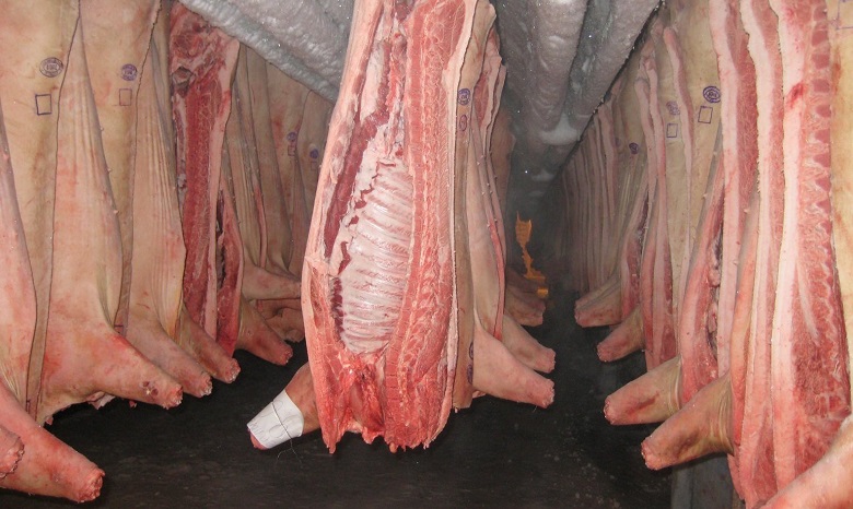 Эксперты назвали причины снижения закупочных цен на свинину