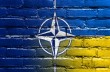 В Киеве началась Международная неделя НАТО