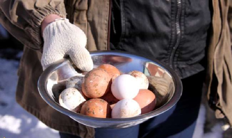 В Украине резко подскочили цены на яйца