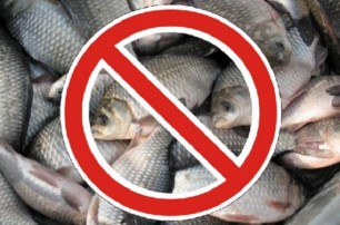 С 1 апреля запрещена рыбная ловля в киевских водоемах