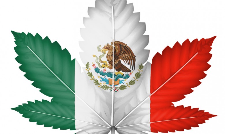Министр туризма Мексики выступил за легализацию марихуаны