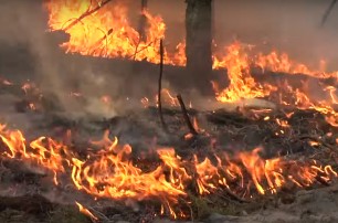 Аваков: Нацгвардия начала антидиверсионную операцию из-за поджогов в лесах
