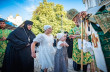 Верующие УПЦ в соцсетях поздравляют Митрополита Онуфрия с Днем Ангела