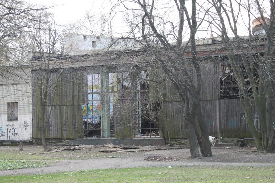 В Голосеевском парке в Киеве рухнул брошенный павильон «Молодежный»