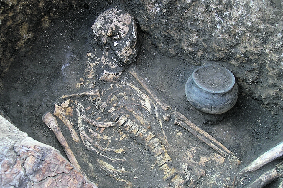Черные археологи раскопали курганы на 8 лет вперед