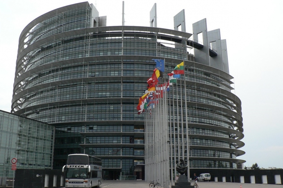 Депутат Европарламента критикует лидеров оппозиции за неявку в Страсубрг