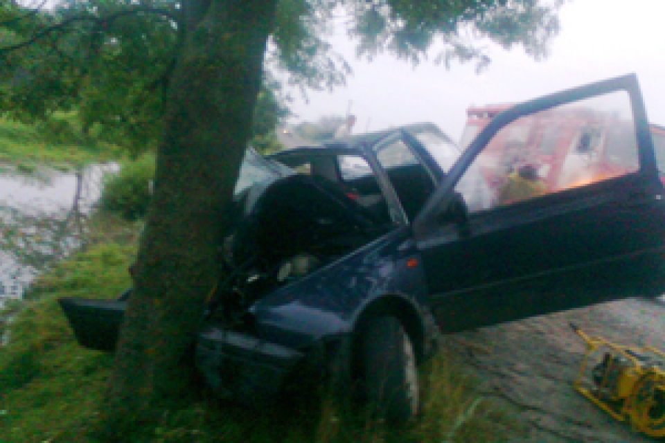 Автокатастрофа на Львовщине унесла жизни двух человек