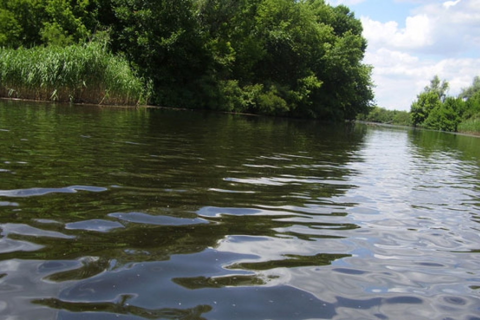 Река конка. Река в Херсонской области. Конка река Украина. Река Конка Херсонская область лилии.