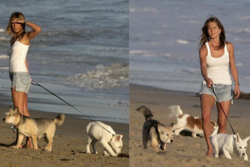 Дженнифер Энистон хочет сделать из своей собаки кинозвезду