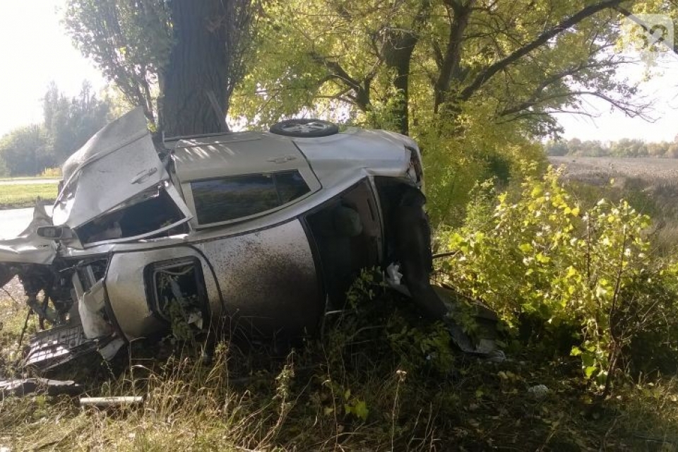 В Донецкой области микроавтобус влетел в дерево: 4 человека погибли