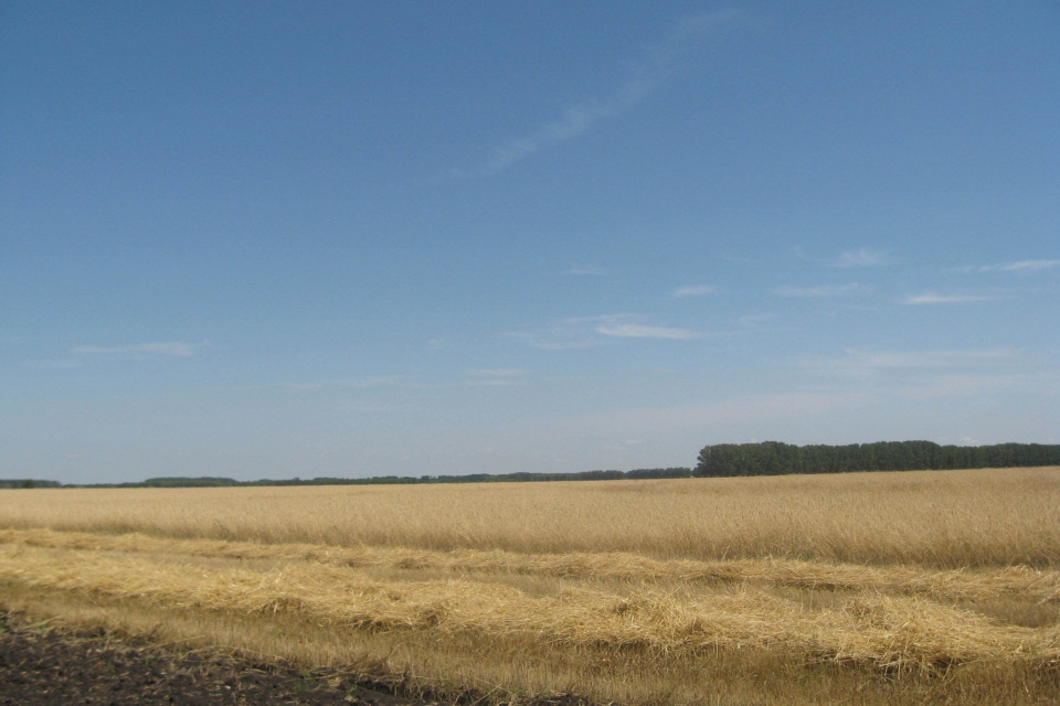 Ассоциация с ЕС расширит рынки сбыта для украинских аграриев