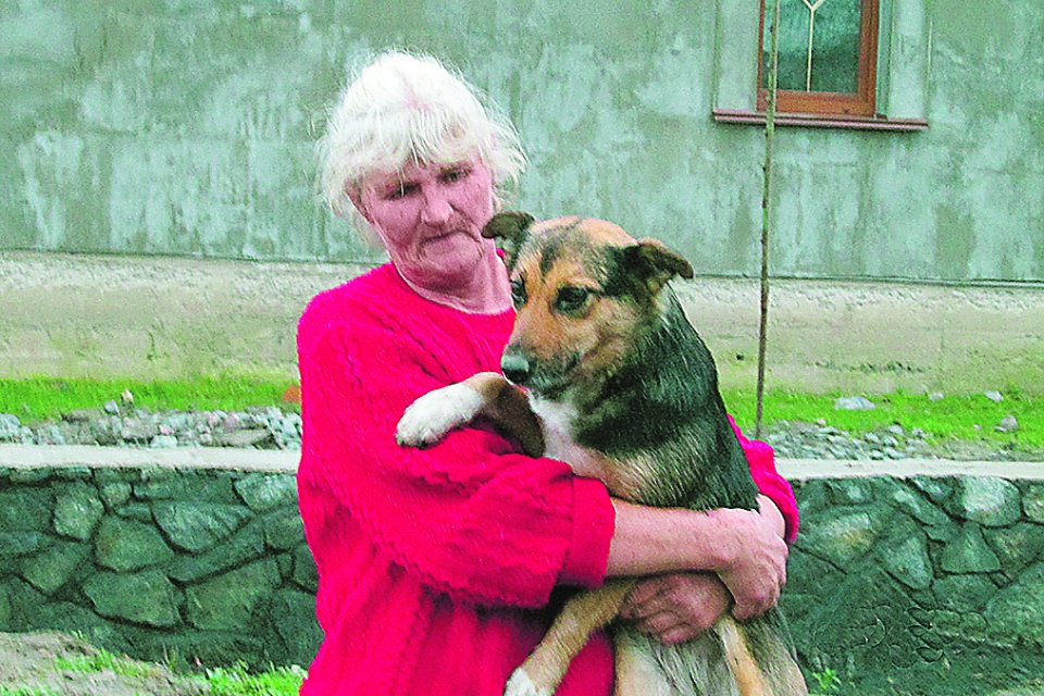 Жительница райцентра в Житомирской области массово подбирает бродячих собак и кошек