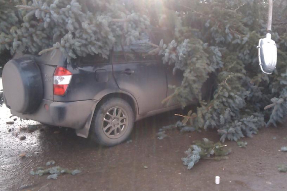 В Хмельницкой области елка и столб упали на машину