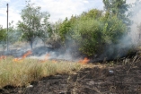В Киеве объявлен самый высокий уровень пожароопасности: отдыхающим запрещено входить в лес